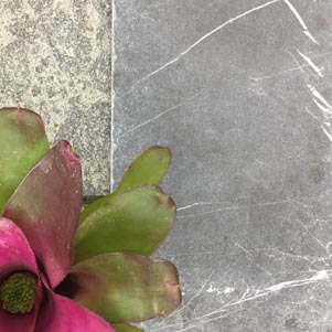 Carbone Renaissance (Tile Edge Shown)