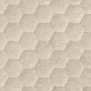 Limewash Biscuit Six