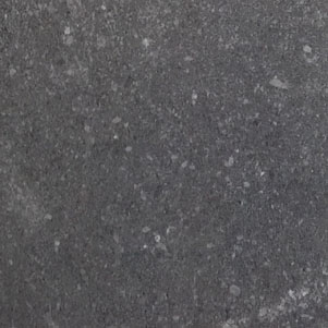 Venus Charcoal