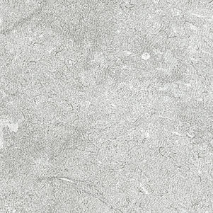 Tesoro Light Grey Detail