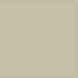 Matt Dark Grey Brown - 300x100
