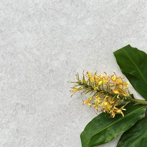 Savannah Porcelain Tiles